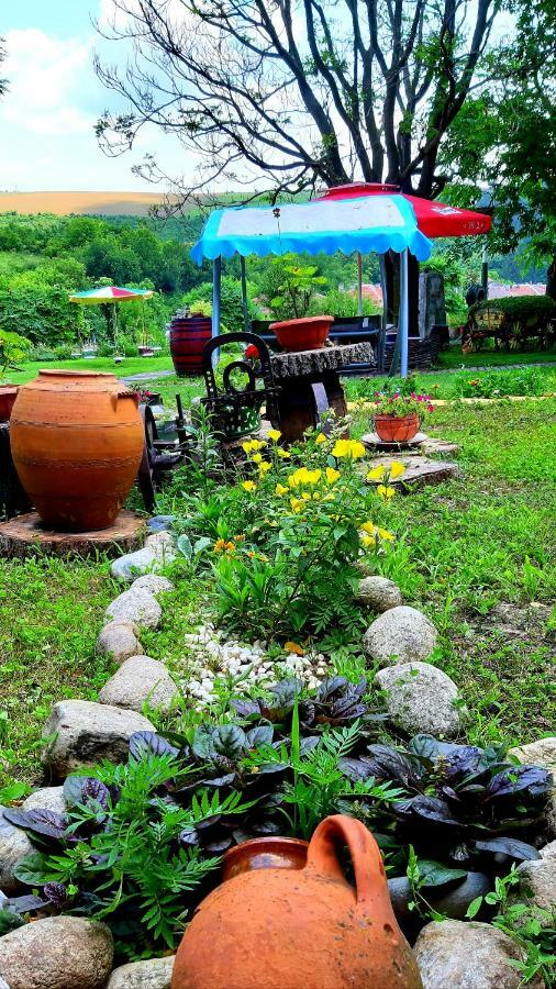 Guest House Kosharite Byala  ภายนอก รูปภาพ